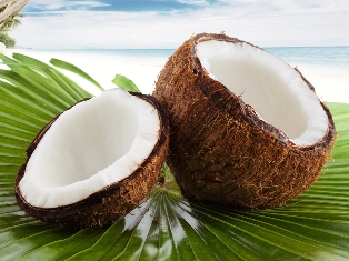 Coconut Bay (Yankee type) Fragrance Oil
