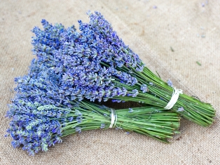 Lavender (EL) Fragrance Oil