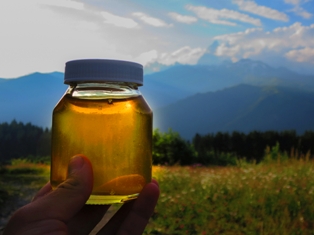 Wild Honey Fragrance Oil